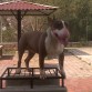 CUMPLIENDO 10 MESES.
